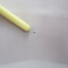 Load image into Gallery viewer, Furisode Red Butterfly Cherry Blossom Silk #10307E5