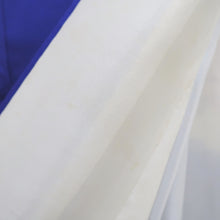 Load image into Gallery viewer, Furisode Vintage(1950-1980) Blue Rose Tall Silk #9609H4