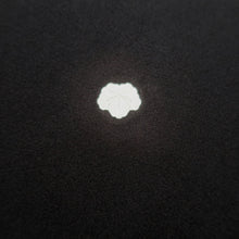 Load image into Gallery viewer, Tomesode Black Crane Birds Silk #10398A1