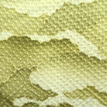 Load image into Gallery viewer, Haori Jacket Vintage(1950-1980) Light Green White Shibori Cloud Silk #10613C3
