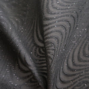 Haori Jacket Vintage(1950-1980) Black Silver See-Through Ryusui Silk #10221E2
