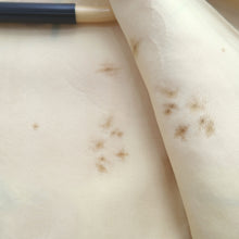 Load image into Gallery viewer, Furisode Vintage(1950-1980) Cream white Plum blossom Branch Silk #10566B4
