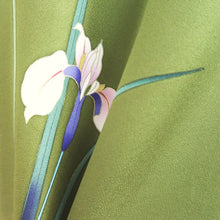 Load image into Gallery viewer, Furisode Green Iris Bellflower Tall Silk #9691J4
