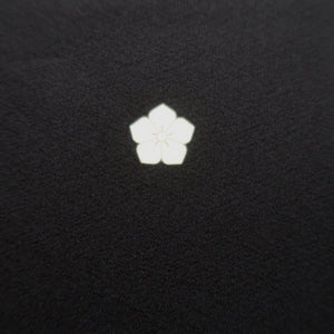 Tomesode Black Landscape Silk #10397A1