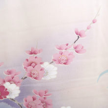 Load image into Gallery viewer, Furisode Pale Pink Plum blossom Chrysanthemum Silk #10549B4
