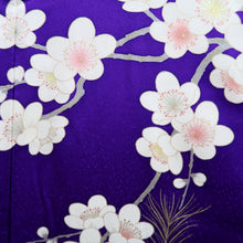 Load image into Gallery viewer, Furisode Purple Peacock Peony Tall Silk #9693J4
