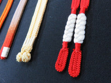 Load image into Gallery viewer, HM#29 Silk Haori Himo Flat Braid 5pcs Bundle Pack
