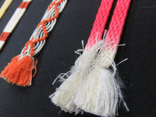 Load image into Gallery viewer, HM#32 Silk Haori Himo Flat Braid 5pcs Bundle Pack
