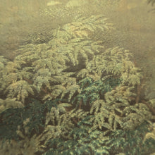 Load image into Gallery viewer, Fukuro Obi Gold Green Bamboo Landscape Silk BB242V4
