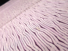 Load image into Gallery viewer, MKF#93 Silk Kimono Fabric Vintage(1950-1980) Shibori Pale Pink 39.4x13.0in(100x33cm)

