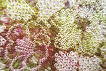 Load image into Gallery viewer, Haori Jacket Vintage(1950-1980) Light Green Pink Full Shibori Peony Silk #8337C4
